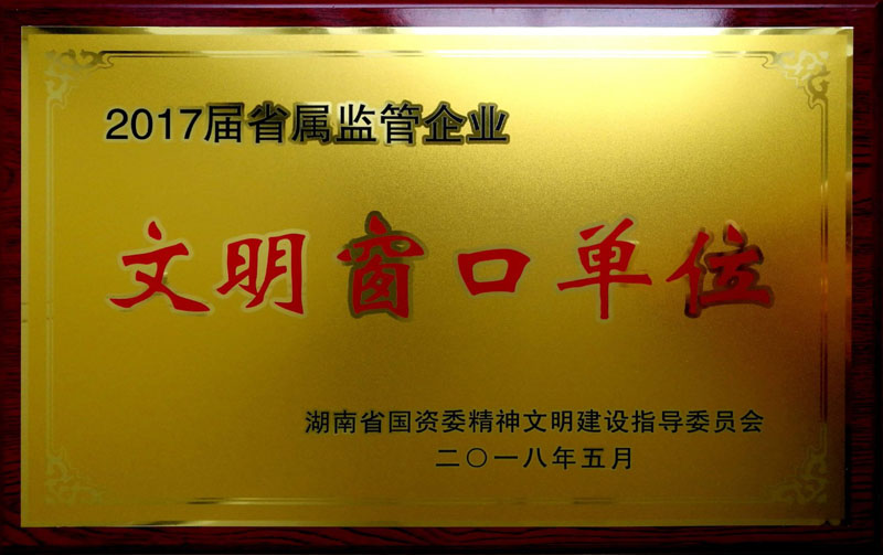 华体(中国)集团养老产业有限公司荣获“省属监管企业文明窗口单位”称号